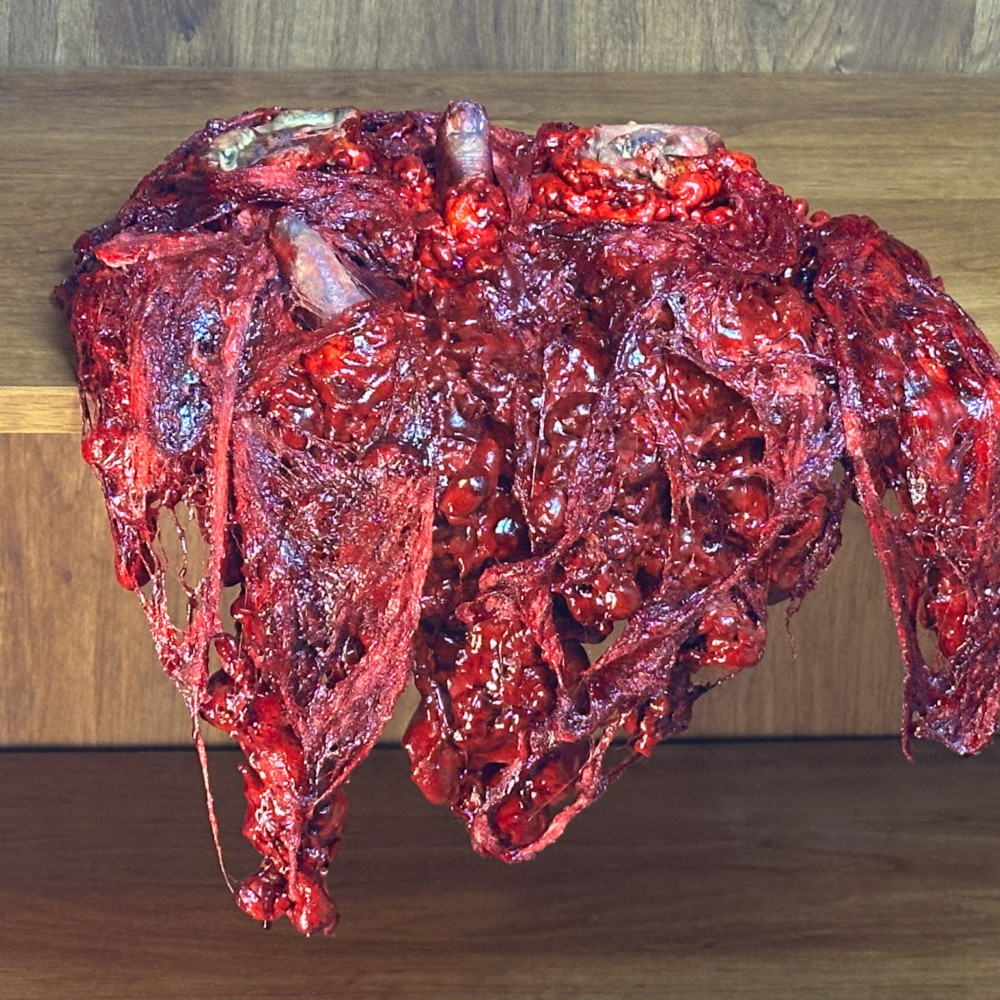 Gore Shelf Hanger W/Ears & Finger Parts